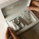 Подарочный BOX для любимой Baosaili  IBSO Silver 1566 фото 2
